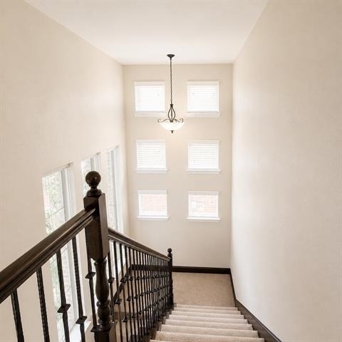 8416 Whistling Duck Drive - Photo 15