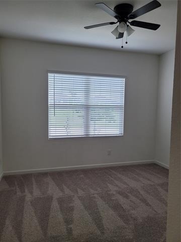 816 Juniper Street - Photo 1