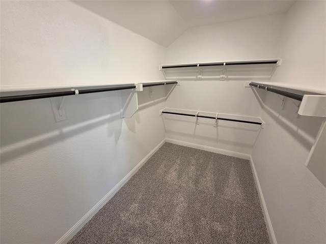 3204 Ferrero Lane - Photo 14