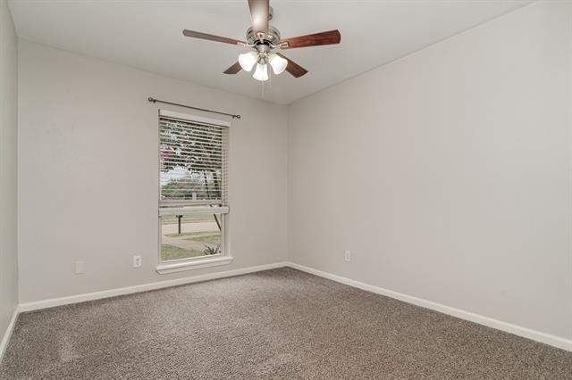 1713 Montana Trail - Photo 23