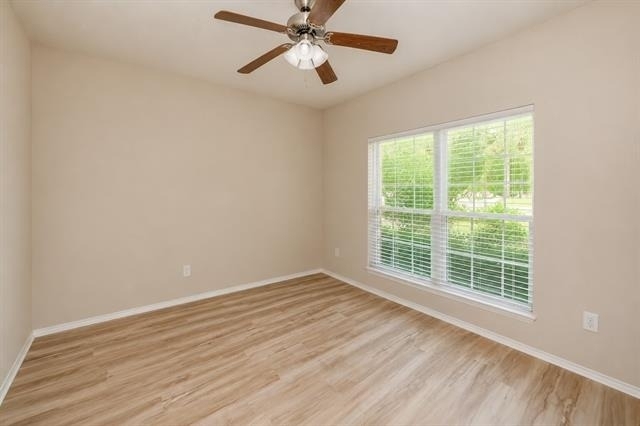 3121 Hornbeam Street - Photo 25