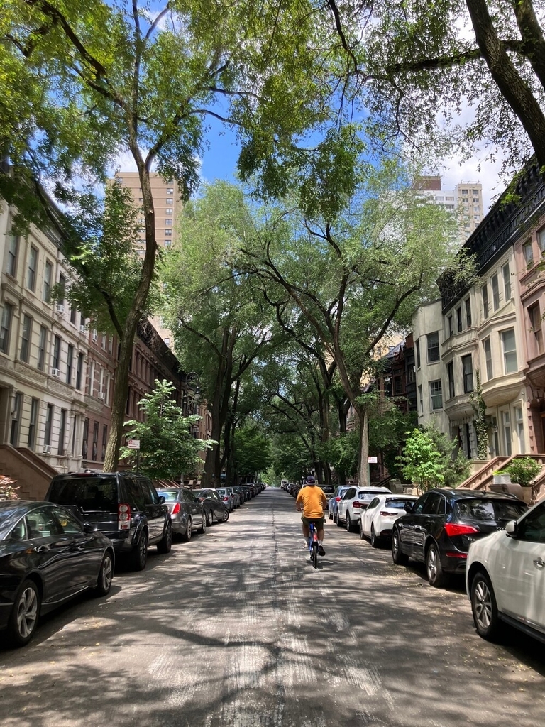 20 W 95th Street - Photo 18