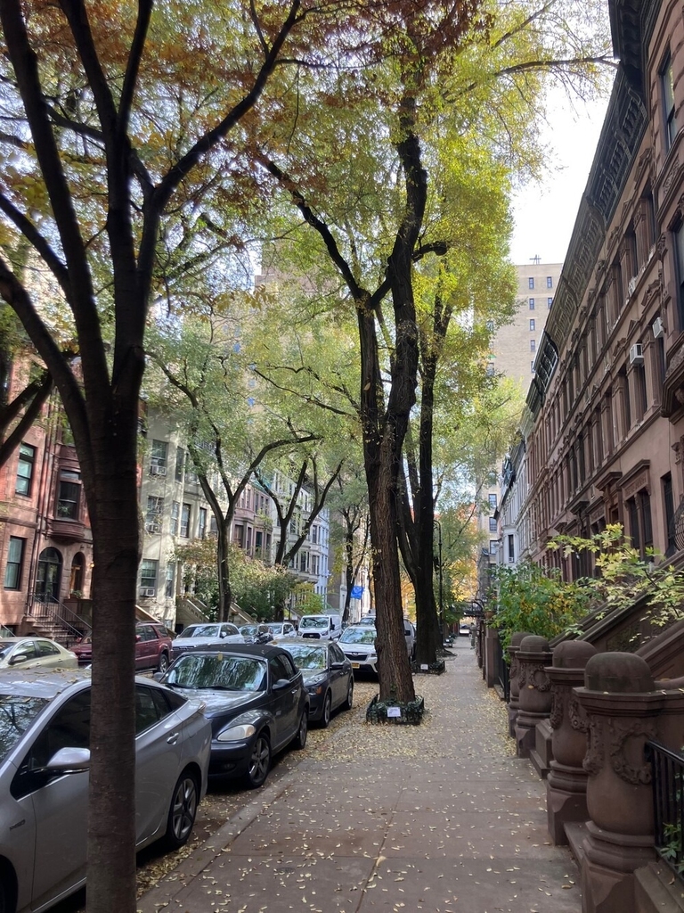 20 W 95th Street - Photo 17