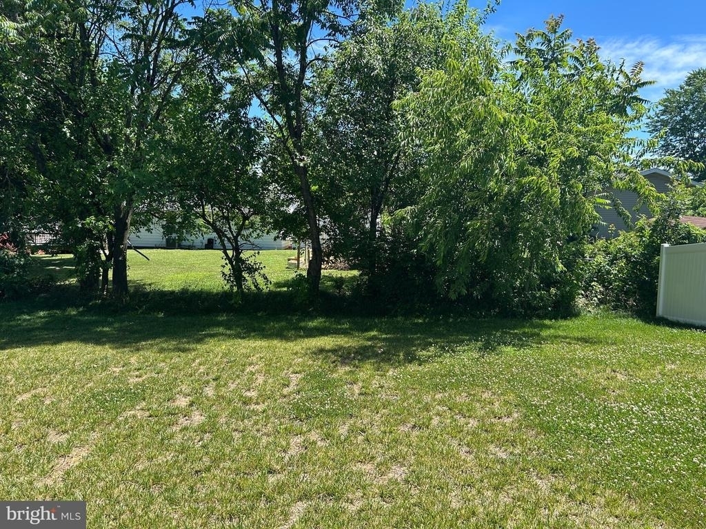406 Freeman Street - Photo 14