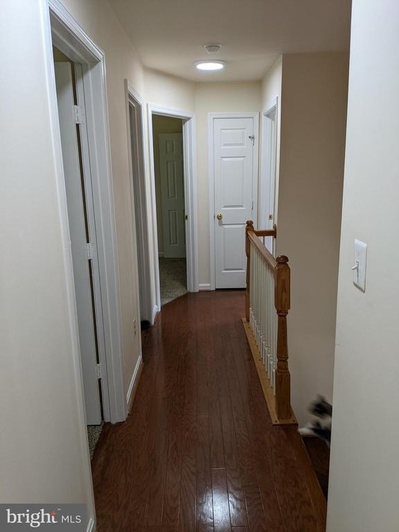 5569 Assateague Place - Photo 21