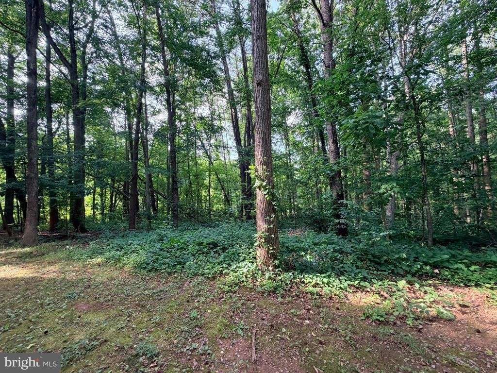 6610 Netties Lane - Photo 2