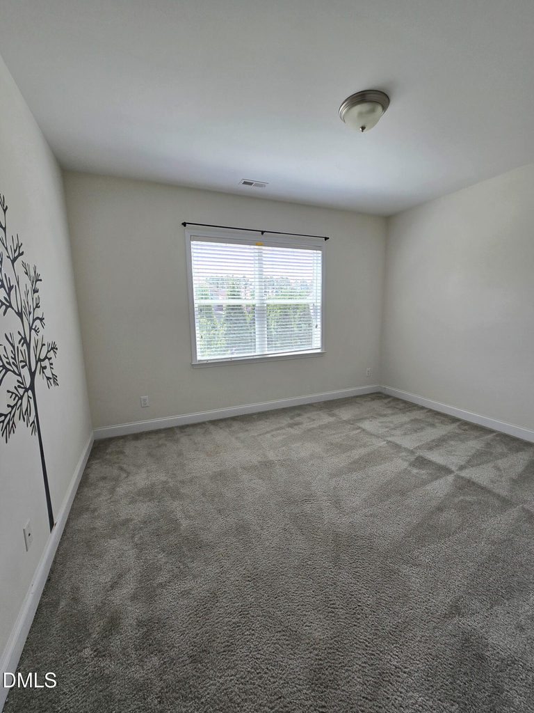 123 Colvin Park Lane - Photo 46