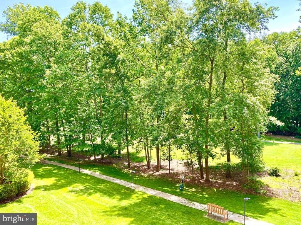 3310 N Leisure World Boulevard - Photo 33