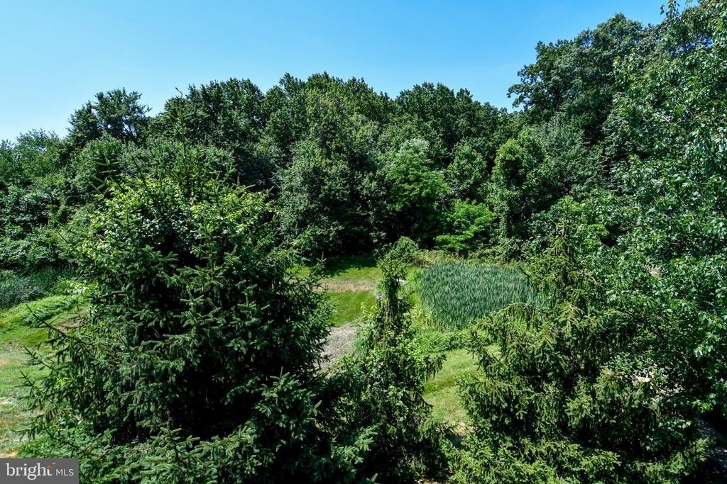 8772 Lincoln Street - Photo 22