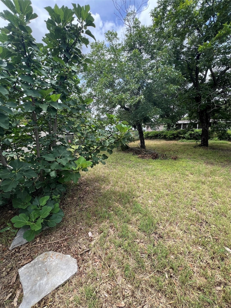 11702 Oak Trl - Photo 26