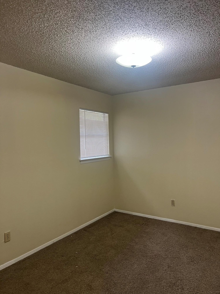 11429 Ptarmigan Dr - Photo 12