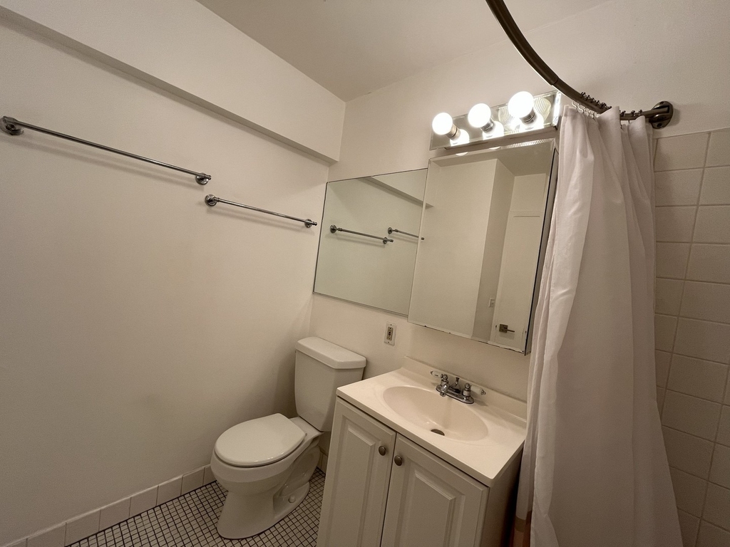 1255 N Sandburg Terrace - Photo 15