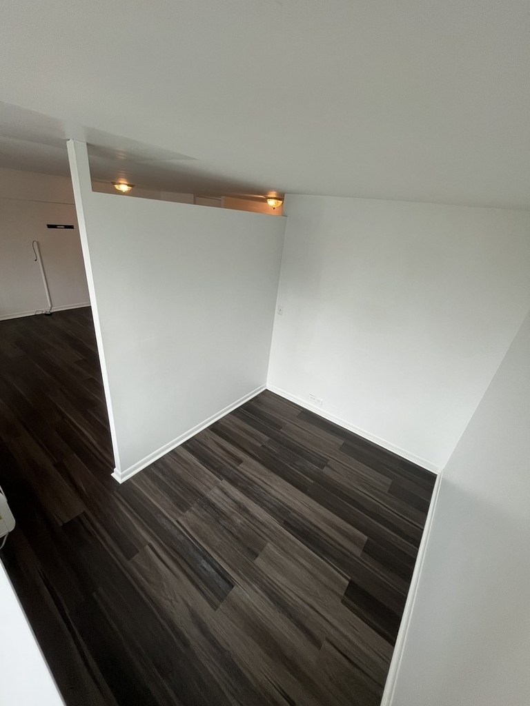 1255 N Sandburg Terrace - Photo 18