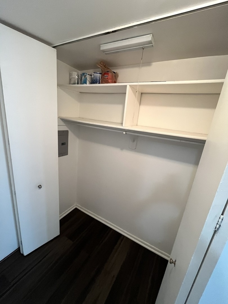 1255 N Sandburg Terrace - Photo 6