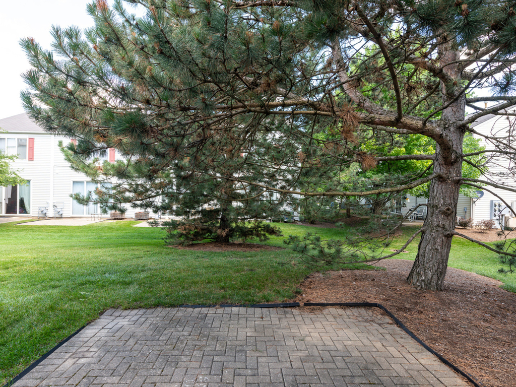 2535 Carrolwood Road - Photo 18
