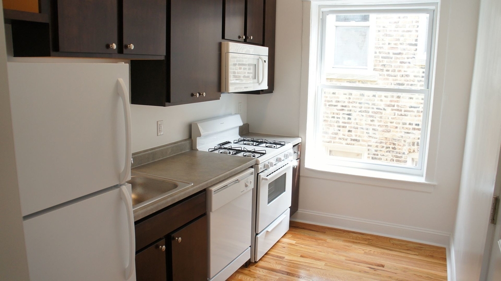 1524 N Kedzie Avenue - Photo 17