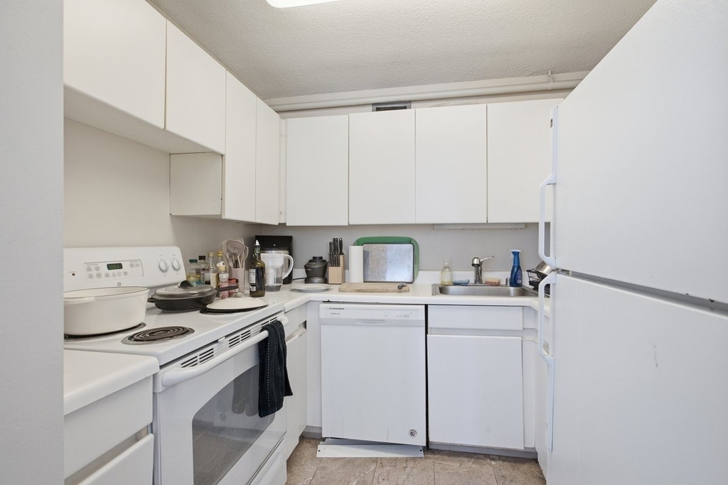 440 N Wabash Avenue - Photo 4