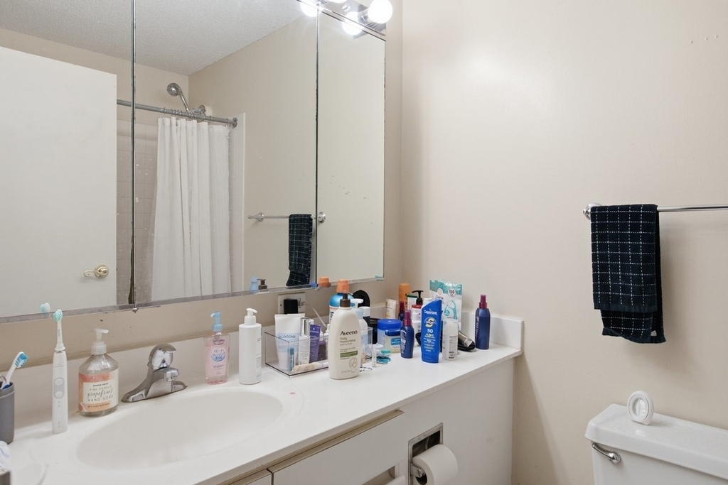 440 N Wabash Avenue - Photo 7