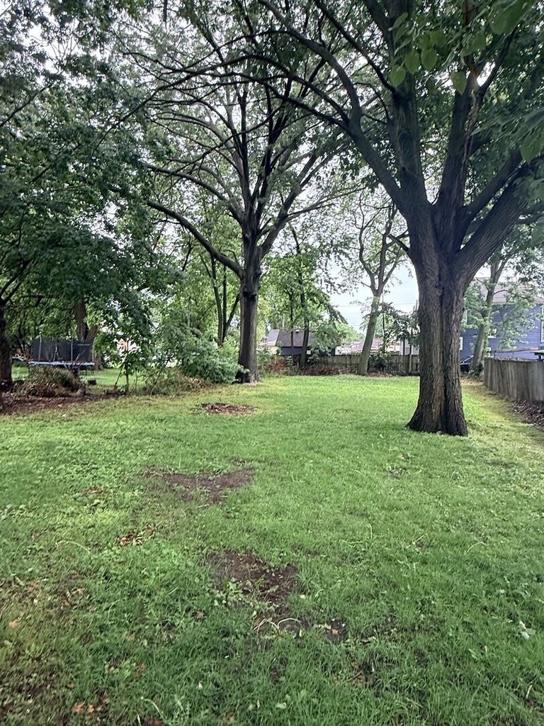 705 North Avenue - Photo 1