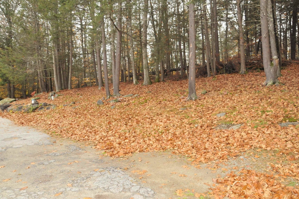 147 Highrock - Photo 25