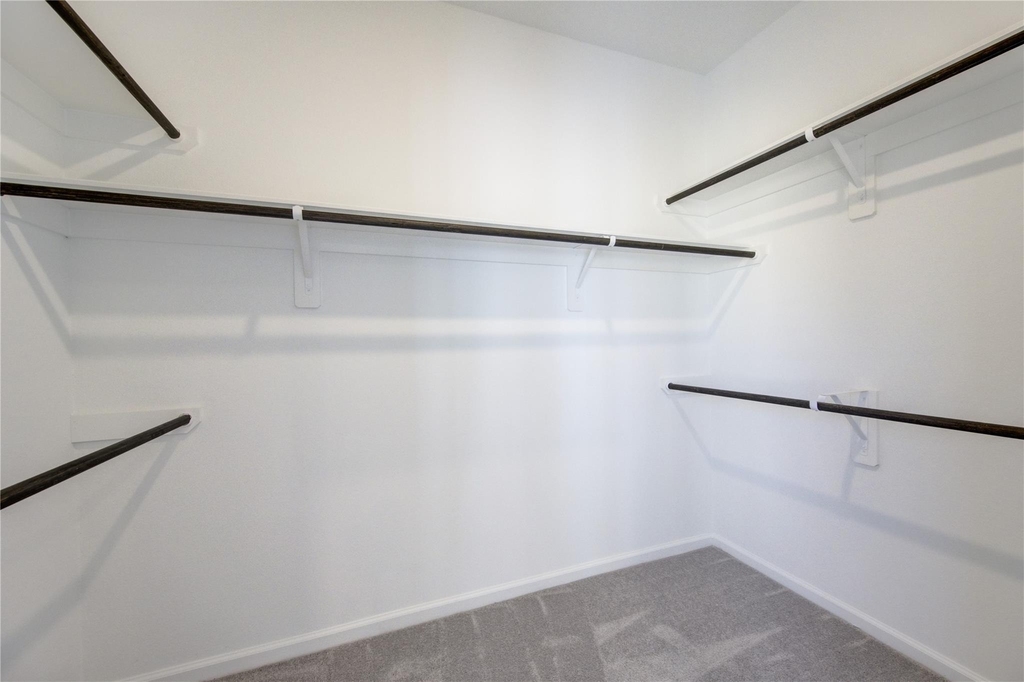 30347 Tall Fescue Drive - Photo 19
