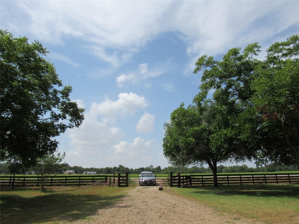 3220 Clayhead - Photo 10