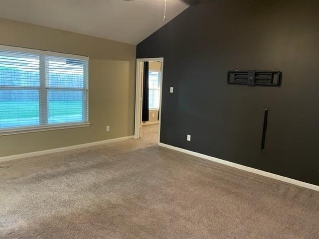 1215 Wallflower Avenue - Photo 4