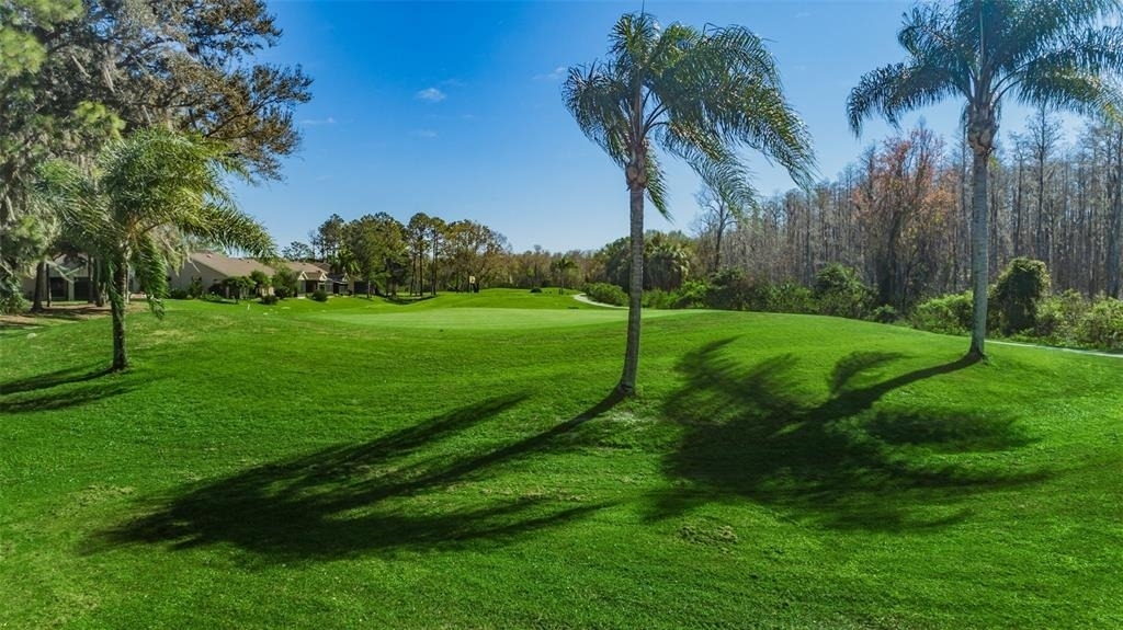 6240 Fairskies Drive - Photo 40
