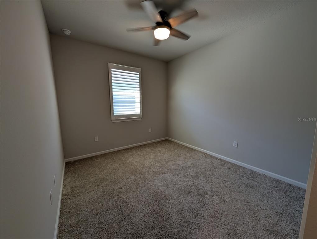3794 Maxwell Park Drive - Photo 6