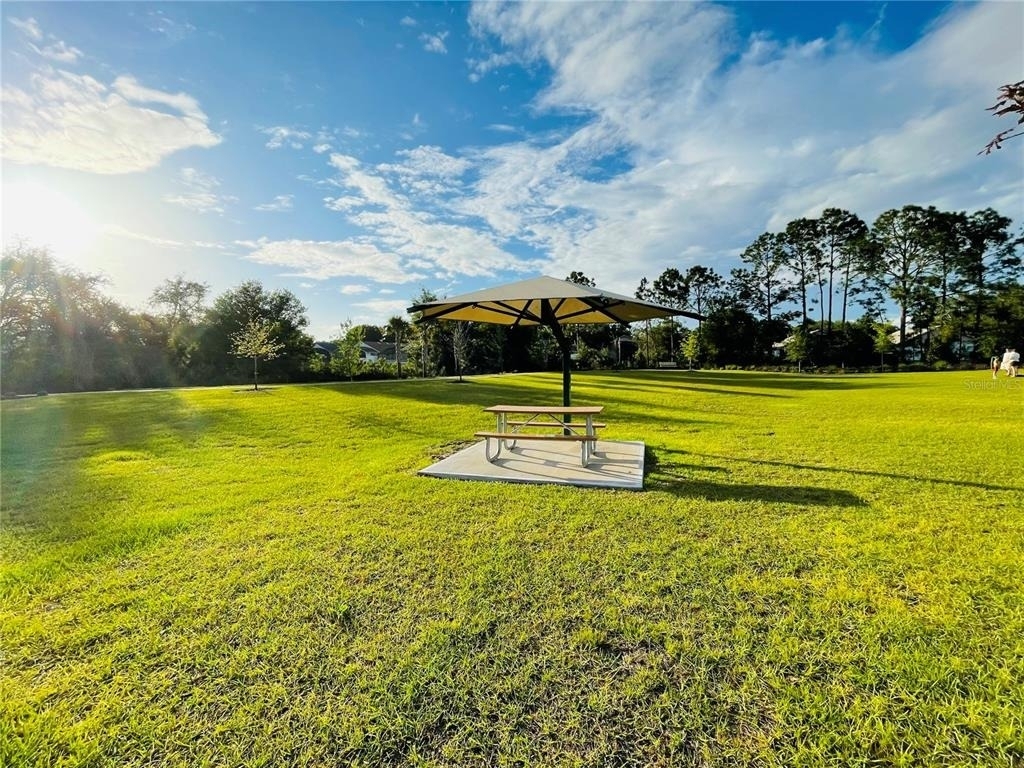 2818 Sanctuary Drive - Photo 14