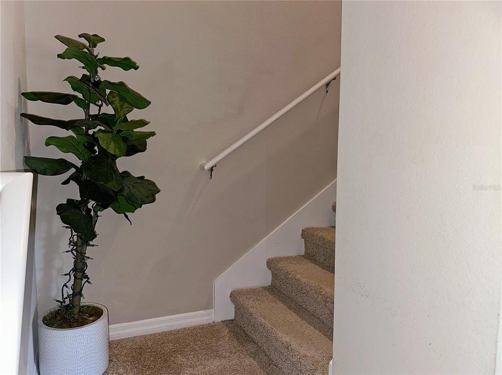 10126 Salt Point Drive - Photo 12