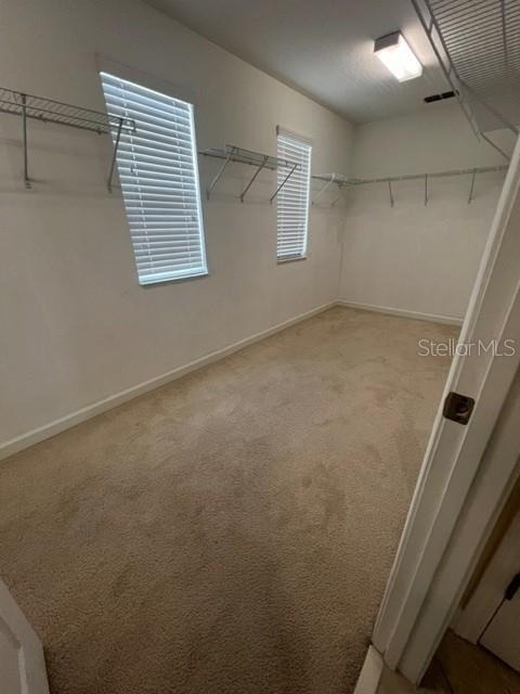 7329 Auburnwood Lane - Photo 12