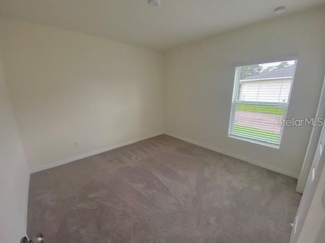 3992 Fescue Street - Photo 19