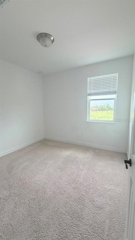 12079 Bracco Street - Photo 10