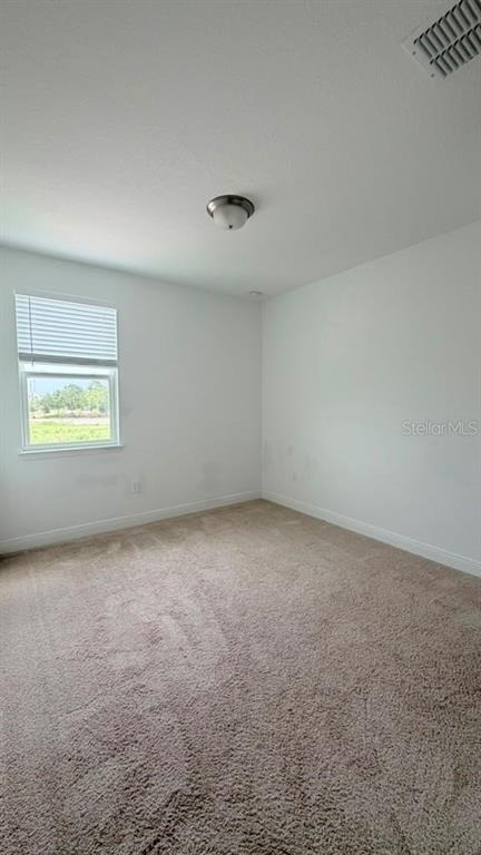 12079 Bracco Street - Photo 9