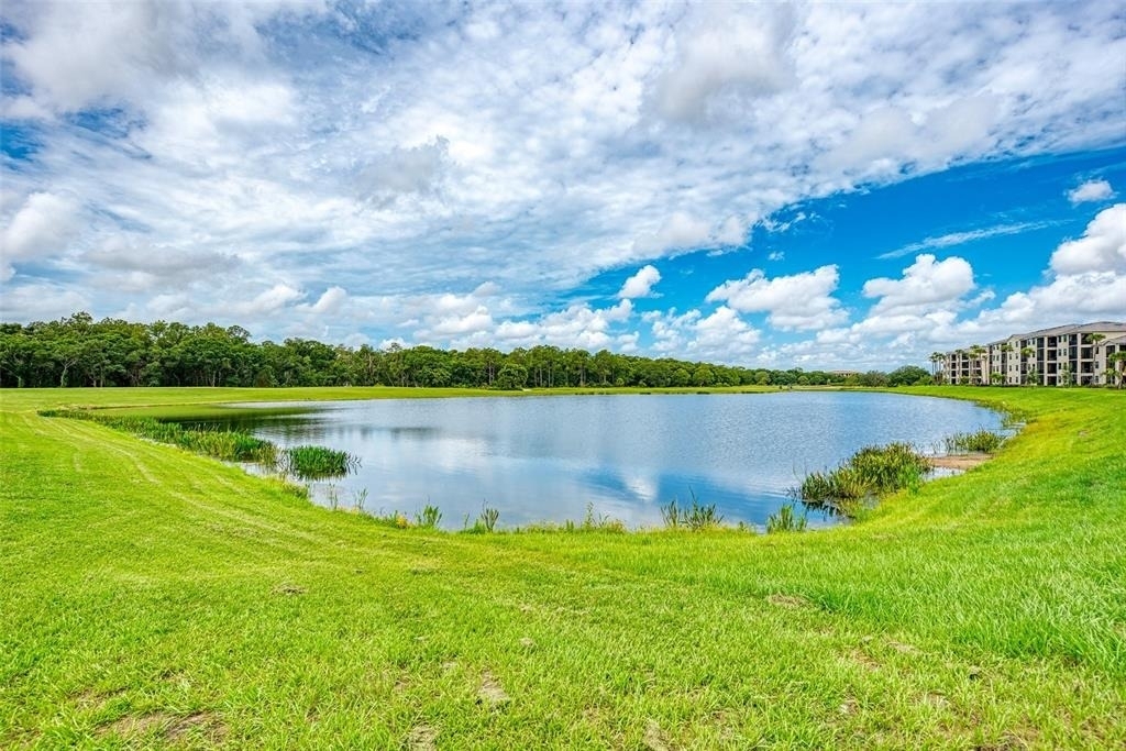 17704 Gawthrop Drive - Photo 31
