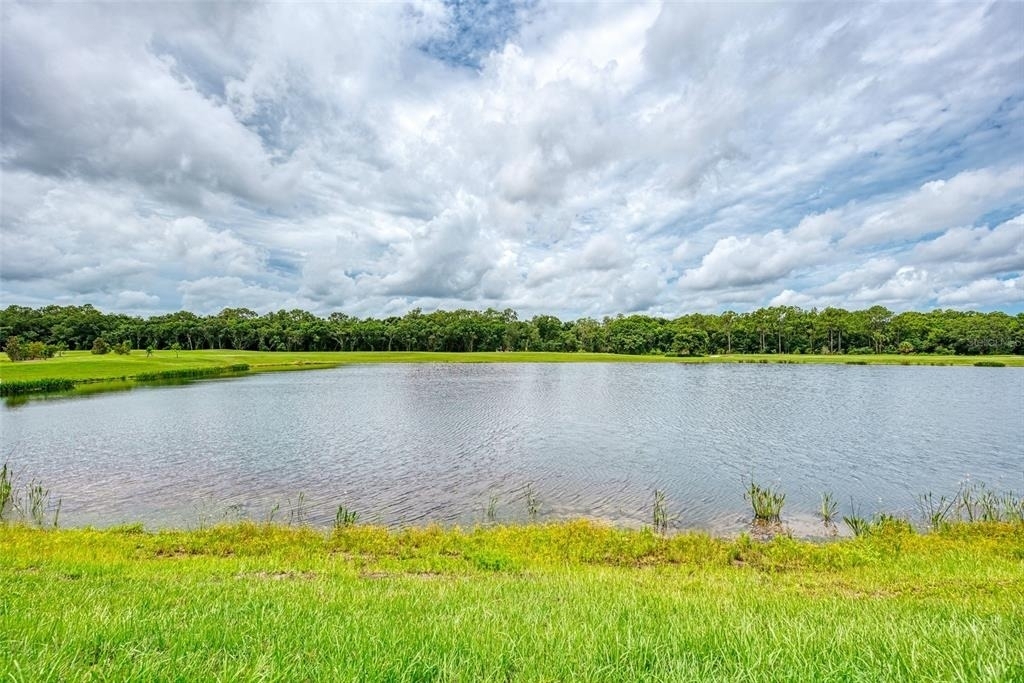 17704 Gawthrop Drive - Photo 32