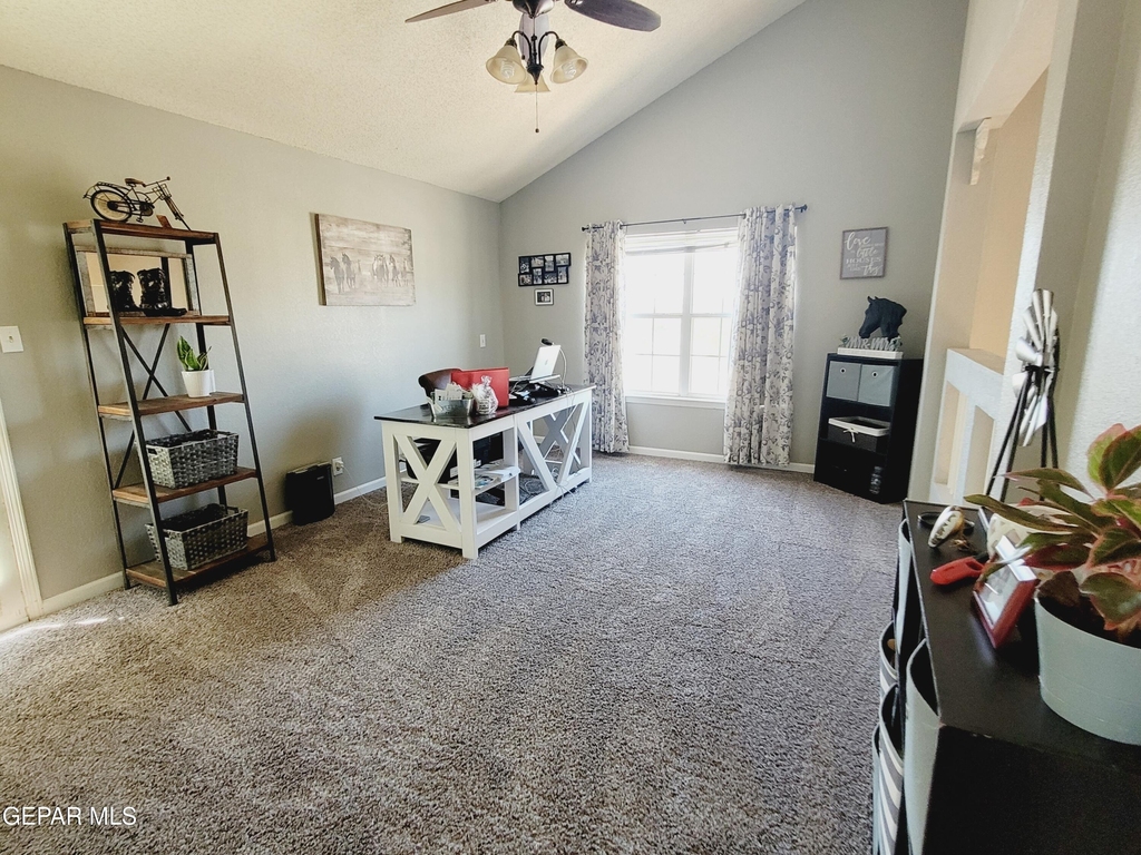 7401 Plaza Taurina Drive - Photo 21