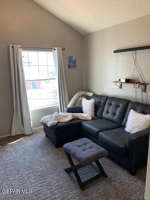 7401 Plaza Taurina Drive - Photo 19