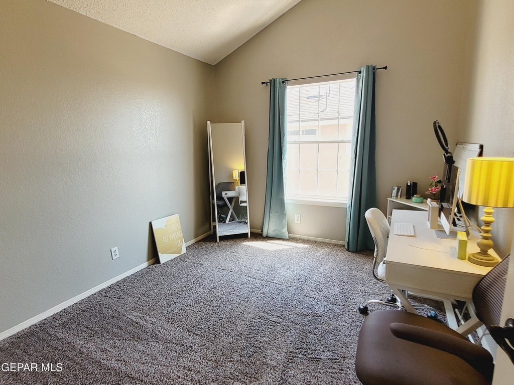 7401 Plaza Taurina Drive - Photo 20