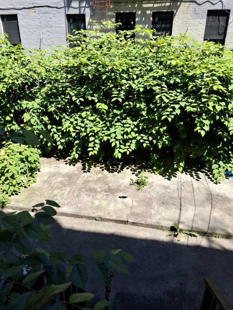 1565 Lincoln Place - Photo 3