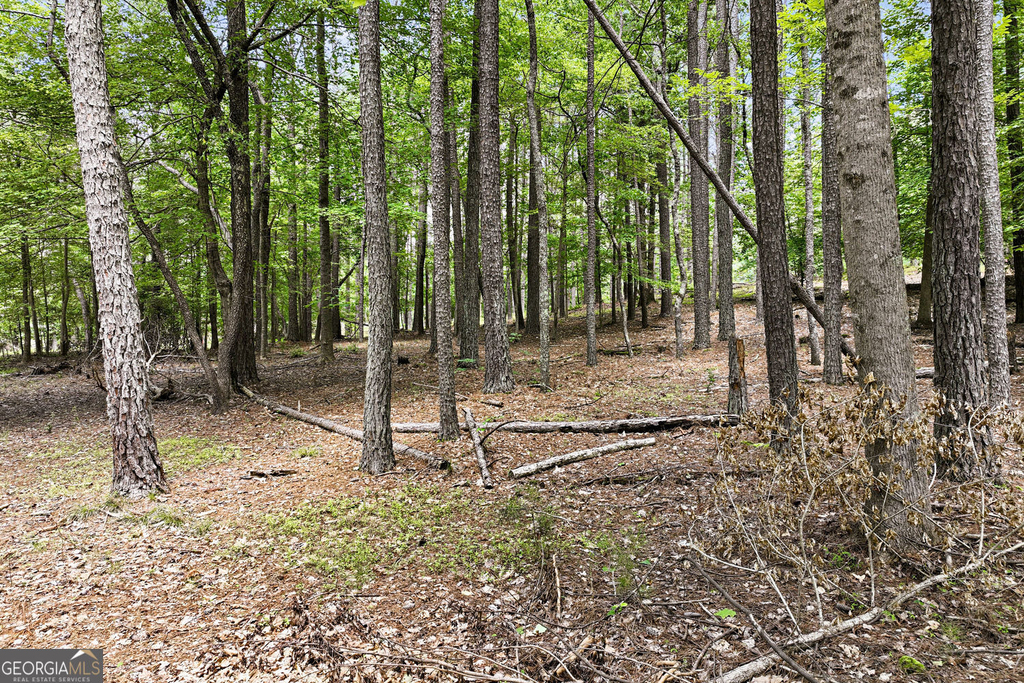 3735 Smithtown Road - Photo 17