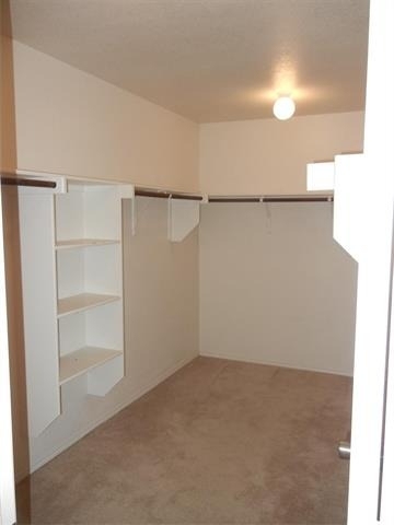 2801 Mockingbird Street - Photo 16