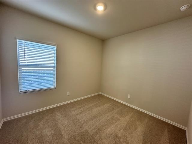 501 Dorothy Drive - Photo 5