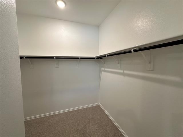 501 Dorothy Drive - Photo 7