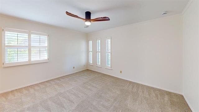 12220 Hightower Place - Photo 13
