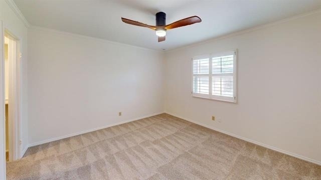 12220 Hightower Place - Photo 17