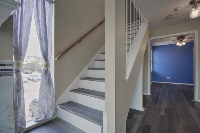 2301 Basil Drive - Photo 28