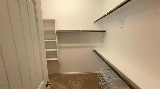14144 Rabbit Brush Lane - Photo 12