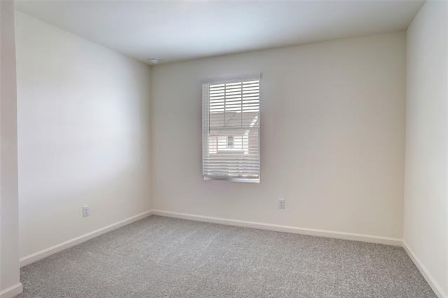 1456 Lake Apline Trail - Photo 20